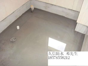 樂(lè)從專(zhuān)業(yè)防水補(bǔ)漏與管道疏通 守護(hù)家居健康的雙重衛(wèi)士